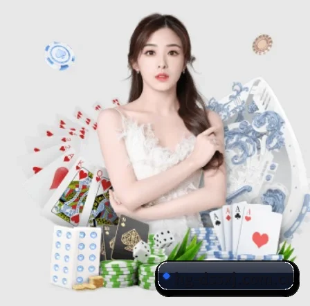 持续创新